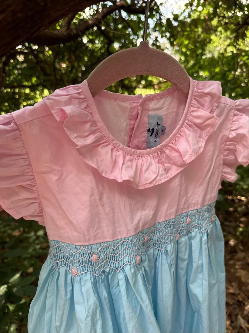 Girls Pink & Light Blue Smocked Ruffle Dress